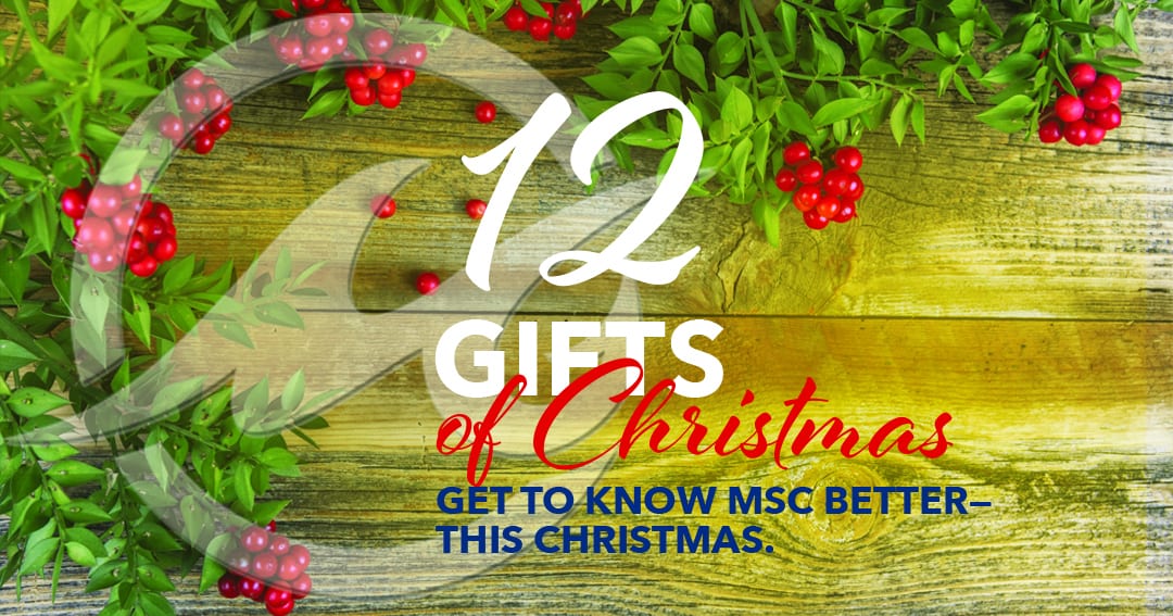 12 Gifts of Christmas - Get to know MSC better this Christmas; Boughs of holly over wood