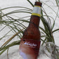 Finny Can Cooler - Mojo Sportswear Company